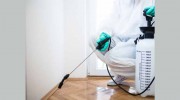 Pest Control Rivervale