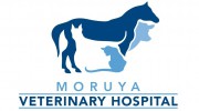 Moruya Veterinary Hospital