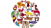 Mosman Village Vet
