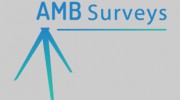 AMB Surveys