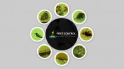 Pest Control Brisbane