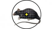 DNA Pest Control