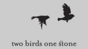 Two Birds One Stone