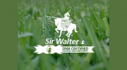 Sydney Lawn & Turf Supplies