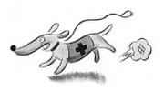 Semaphore Veterinary Surgery