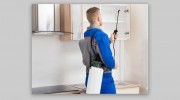 Pest Control Newstead