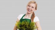 Awesome Turf Supplies
