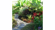 Suzan Quigg Landscape Design