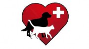 Mossman Veterinary Surgery