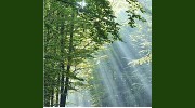 Maharishi Transcendental Meditation Program