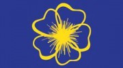 Buttercups Childcare