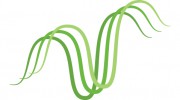 Valley Bookkeeping Solutions