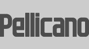 Pellicano