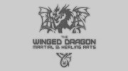 The Winged Dragon