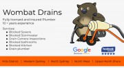 Wombat Drains