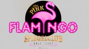 Pink Flamingo Gold Coast