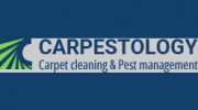 Carpestology