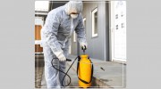 Pest Control Newport