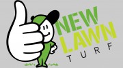 New Lawn Turf