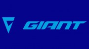 Giant Noosa