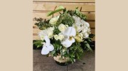 Greensborough Flowers