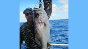 Frenzy Charters