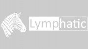 Zebra Lymphatic