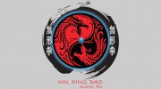 Wu Xing Dao Kung Fu