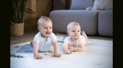 Albury Wodonga Carpet Cleaning