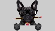 Neilan Stramandinoli Family Law