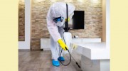 Pest Control Franklin