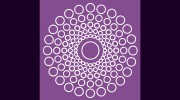 Insight Clinical Psychology Service