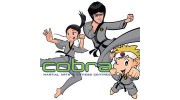 Cobra Martial Arts & Fitness Academy