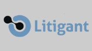 Litigant
