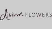 Divine Flowers