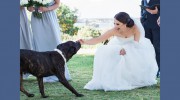 Crosbie Photography