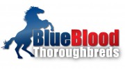 BlueBlood Thoroughbreds