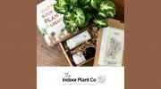 The Indoor Plant