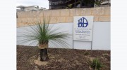 Building Dimensions