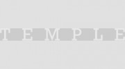 Temple Hair & Beauty