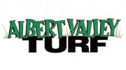 Albert Valley Turf