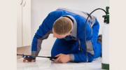 Pest Control Strathfield