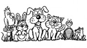 Camms Road Veterinary Clinic Cranbourne