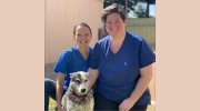 Seaside Vet Surgery