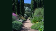 Lambley Nursery Burnside