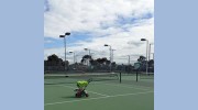 Tennis Dynamics