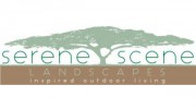 Serene Scene Landscapes