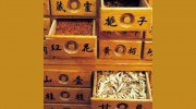 Bo Wha Oriental Acupuncture Brisbane