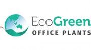 Eco Green Office Plants