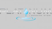 Platinum Plumbing Group
